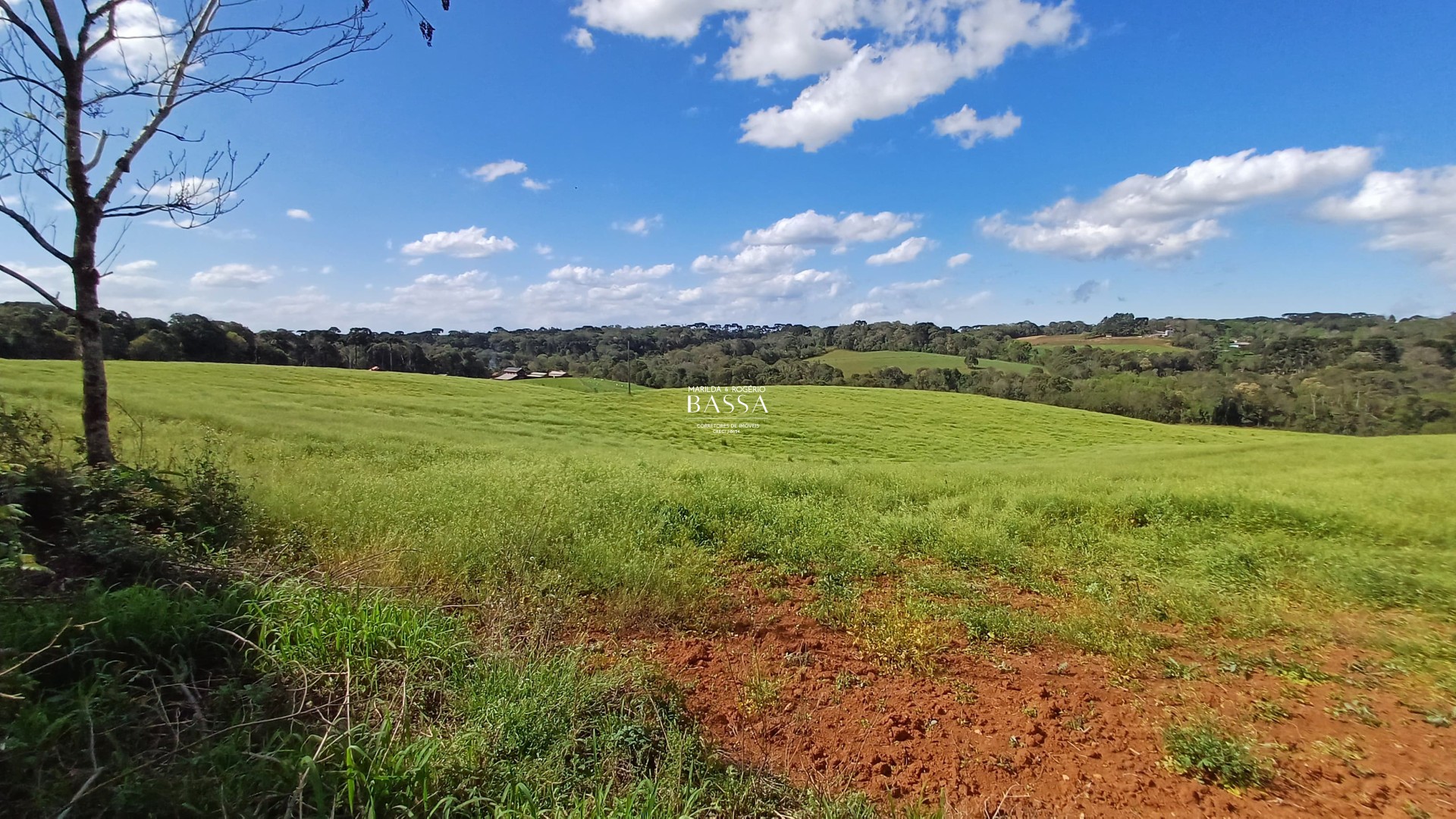 Área de 107.709,50m² Campestre da Faxina em São José dos Pinhais