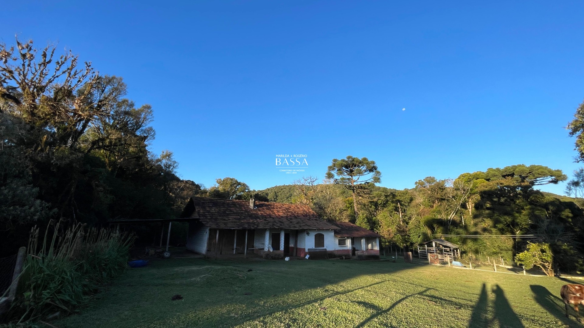 Chácara - Bossoroca - Tijucas do Sul