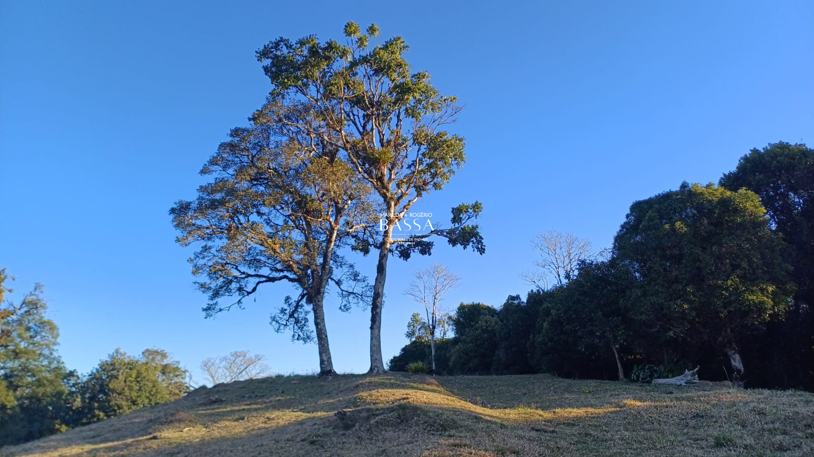 Chácara - Bossoroca - Tijucas do Sul